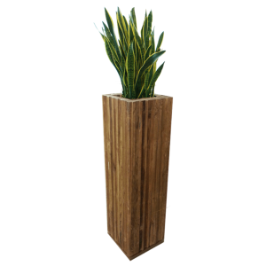 Wood Stehkube inkl. Sansevieria 1
